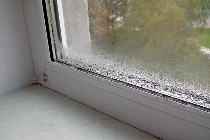Почему потеют современные окна